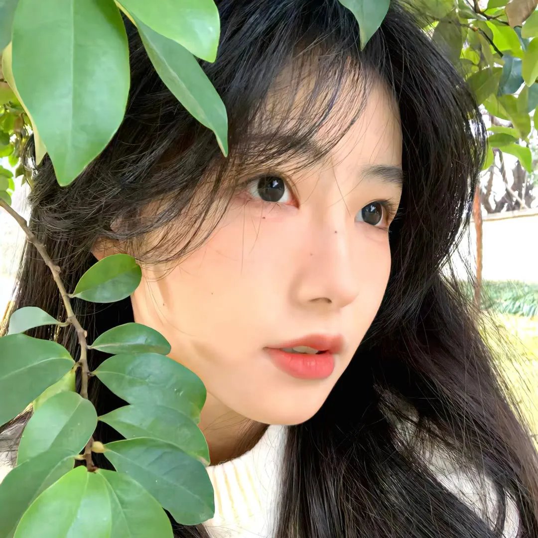 在迷宫中(电影)