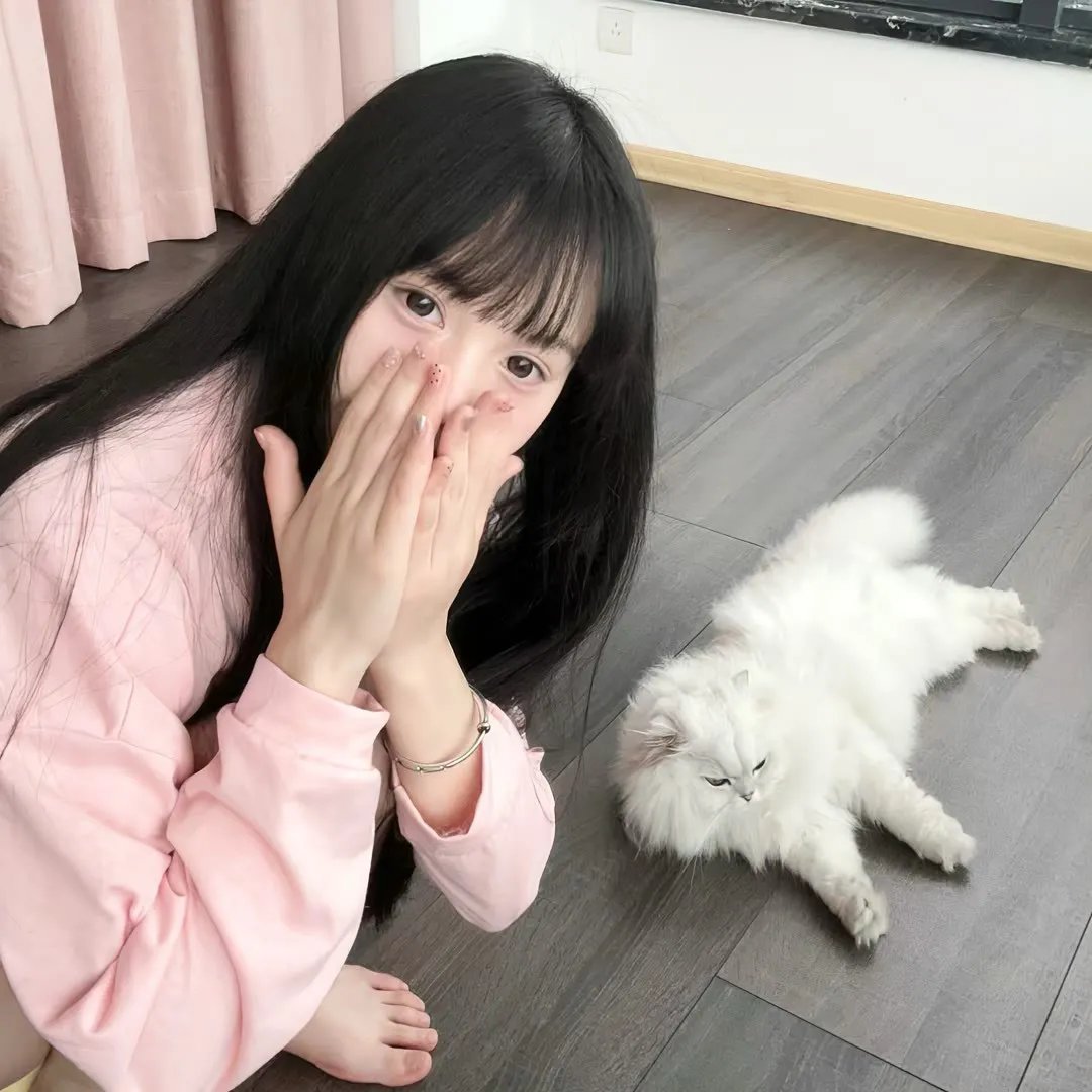 老虎队